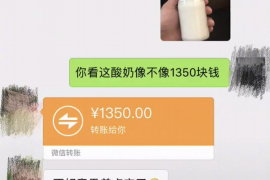 连城连城的要账公司在催收过程中的策略和技巧有哪些？